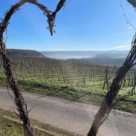 Neue Loft Im Alten Kelterhaus - Urlaub Im Wein- Und Ferienort *