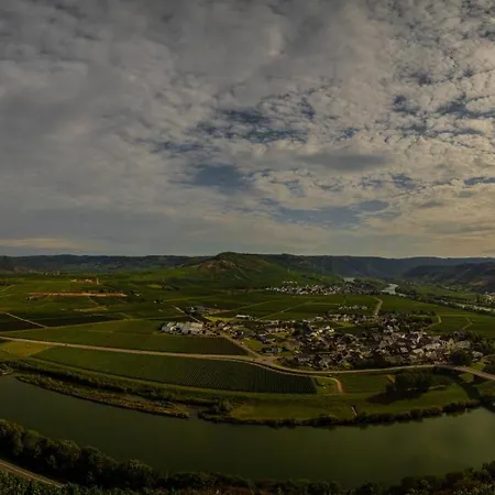 Apartament Neue Loft Im Alten Kelterhaus - Urlaub Im Wein- Und Ferienort Bekond