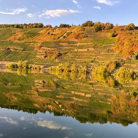 Neue Loft Im Alten Kelterhaus - Urlaub Im Wein- Und Ferienort *