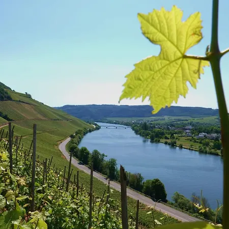 Neue Loft Im Alten Kelterhaus - Urlaub Im Wein- Und Ferienort Bekond