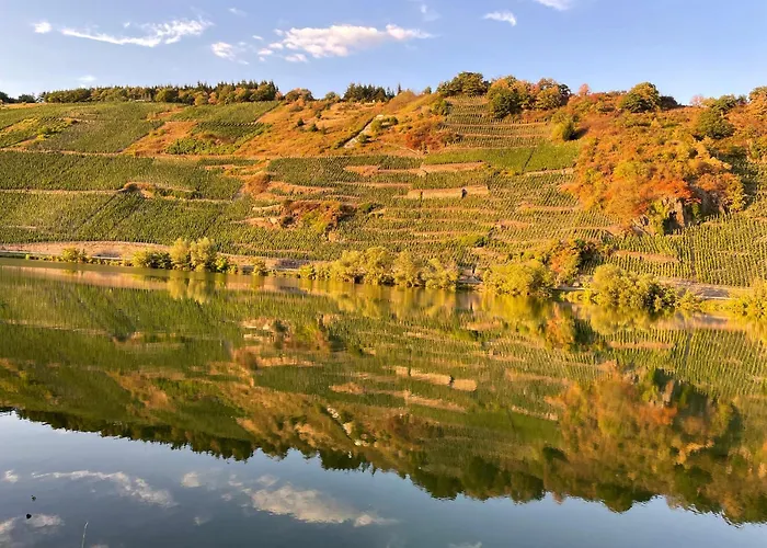 Neue Loft Im Alten Kelterhaus - Urlaub Im Wein- Und Ferienort *