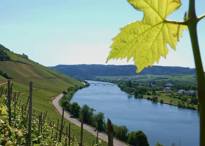 Neue Loft Im Alten Kelterhaus - Urlaub Im Wein- Und Ferienort Bekond